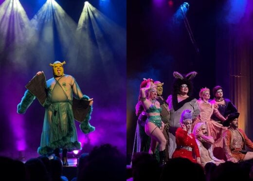 I NEED A HERO “Sydney has no culture”: Oh yeah? Explain this then…