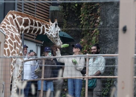 SPOTTED Sydney Sweeney feeding the giraffes at Taronga Zoo